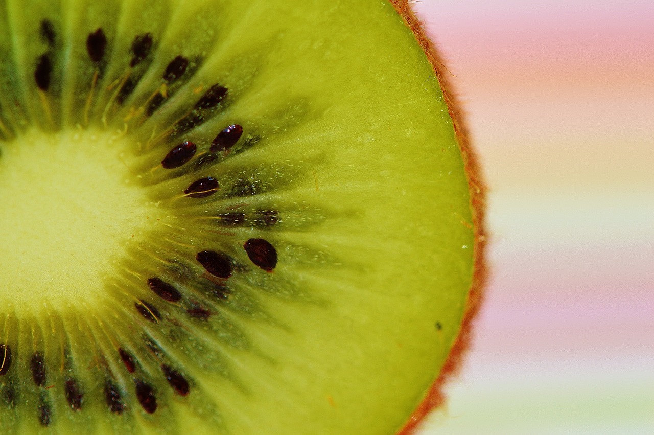 kiwi fruit healthy free photo