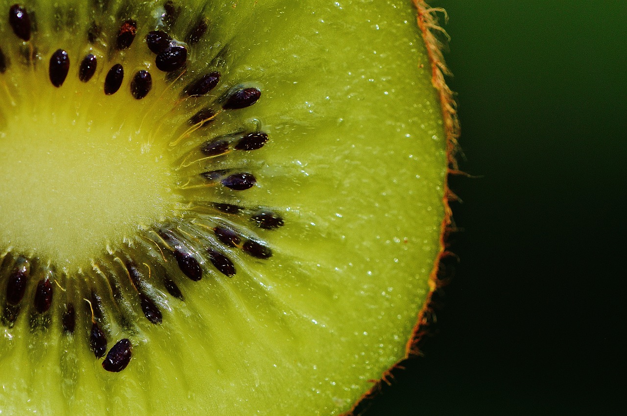 kiwi fruit healthy free photo