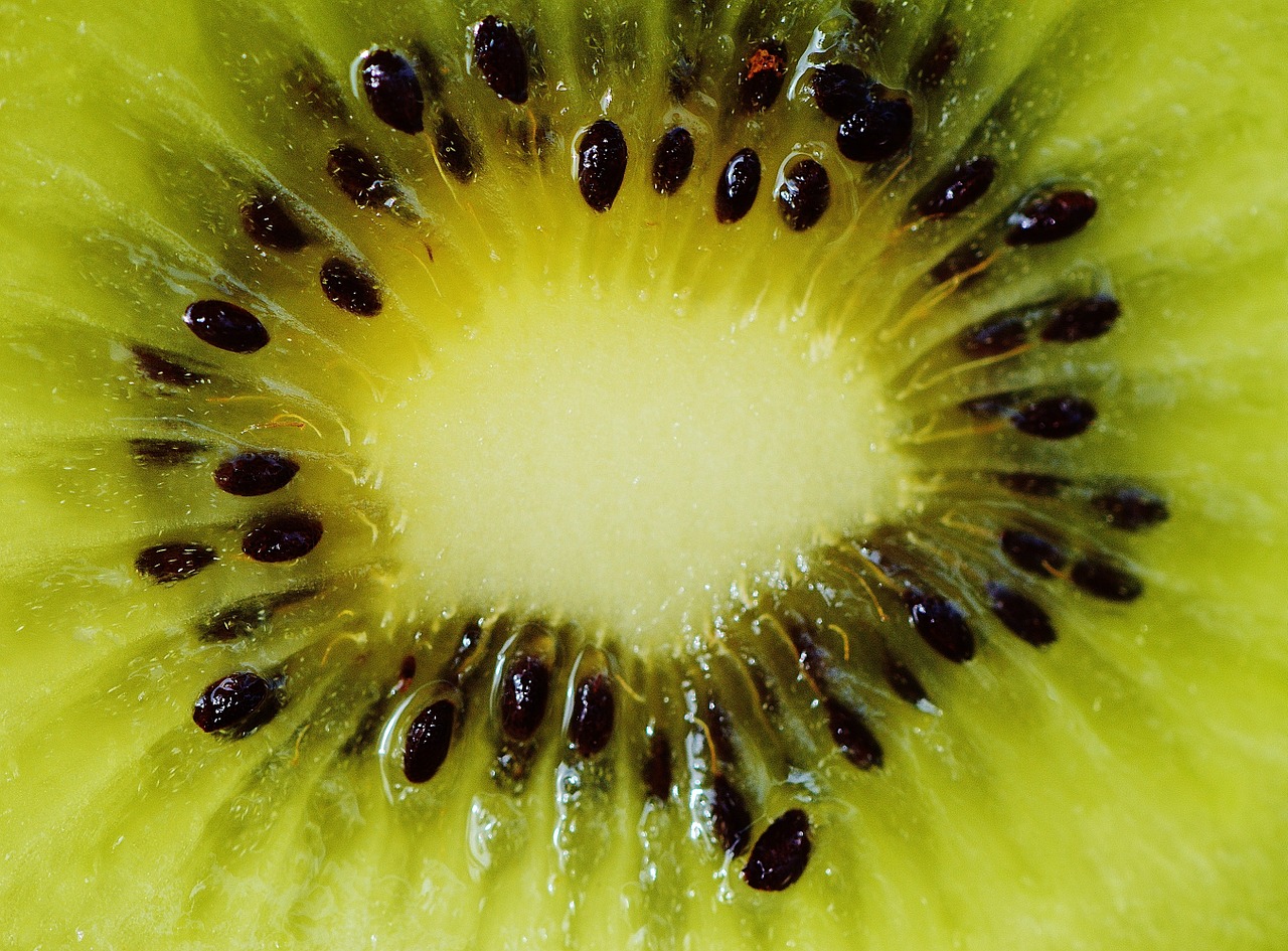 kiwi fruit healthy free photo