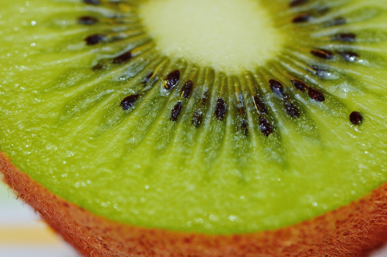 kiwi healthy fruit free photo