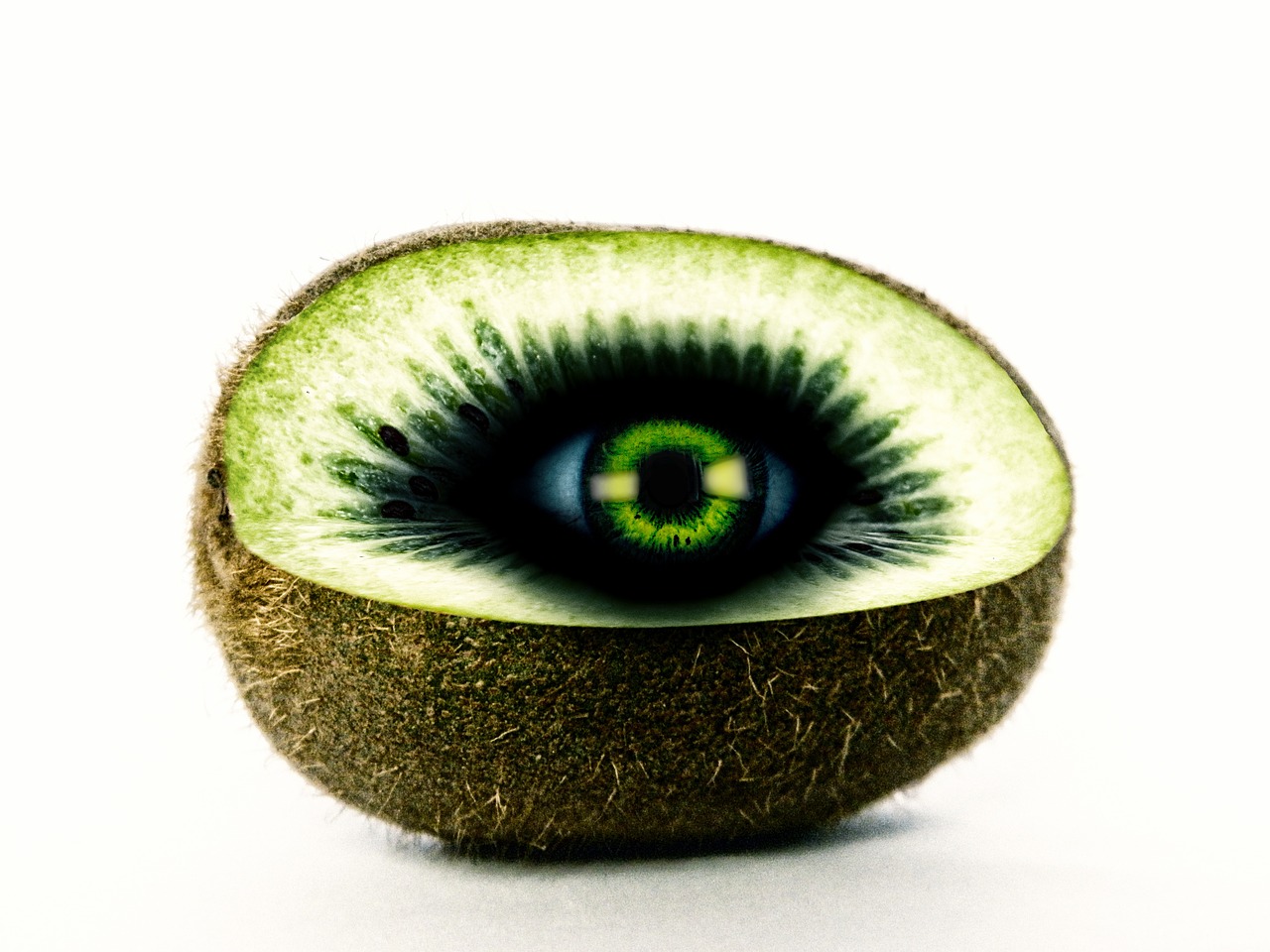 kiwi eye design free photo