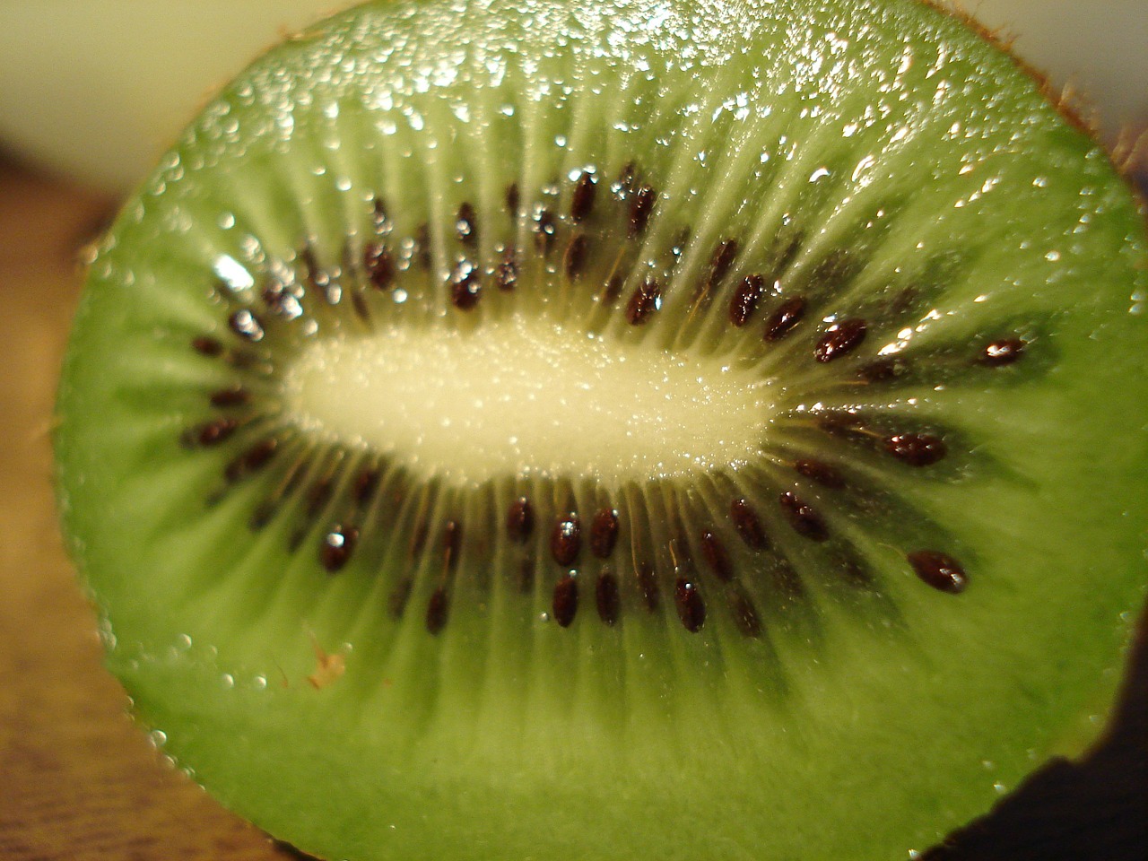 kiwi fruit cook free photo