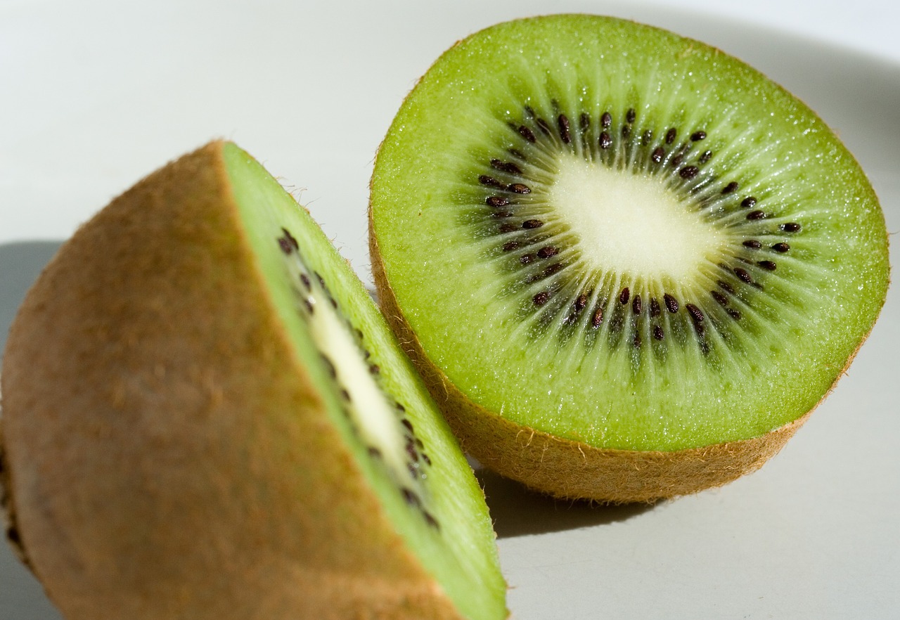 kiwi fruit useful free photo