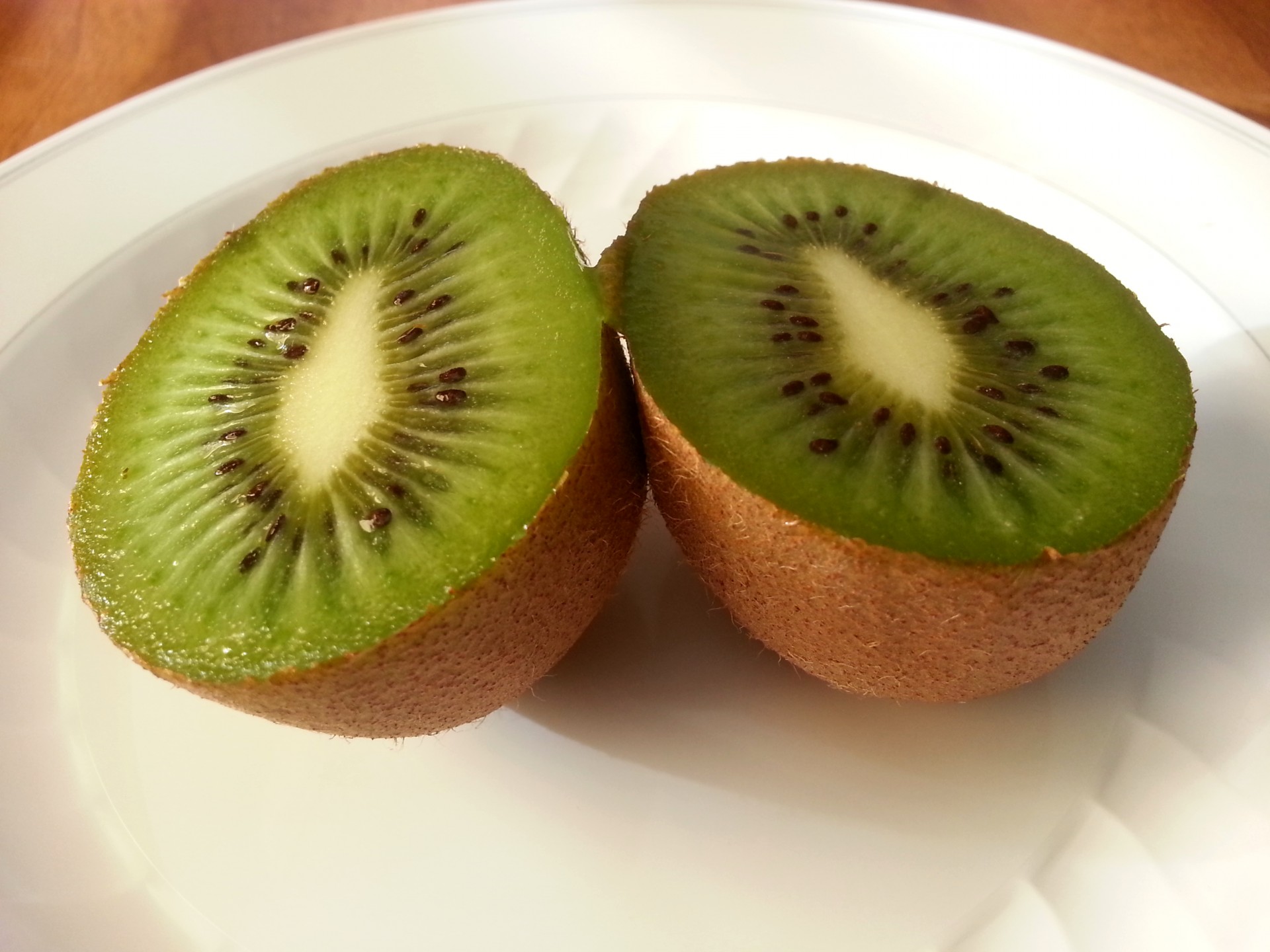 kiwi fruit fruits free photo