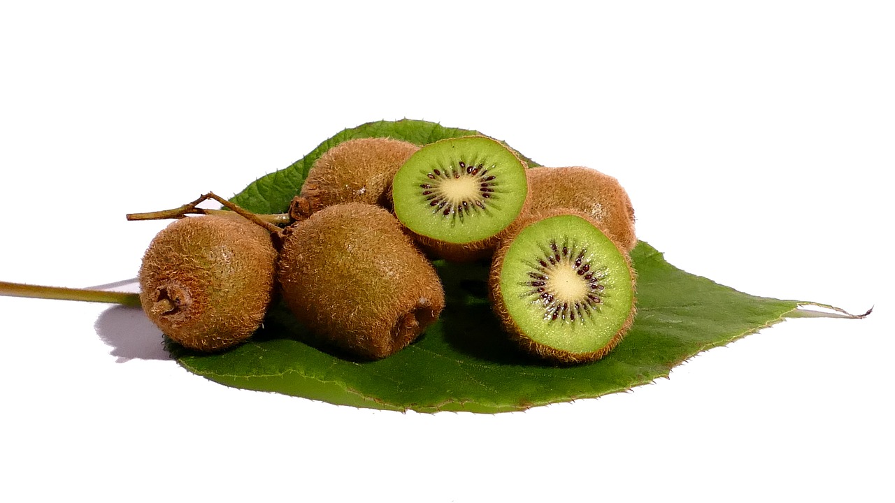 kiwi fruit vitamins free photo