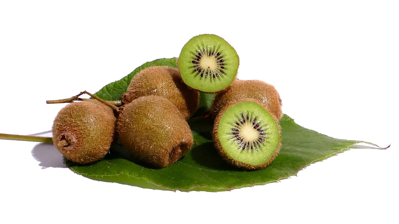 kiwi fruit vitamins free photo