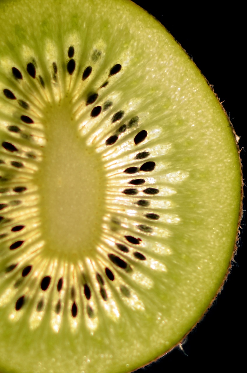 kiwi green healthy free photo