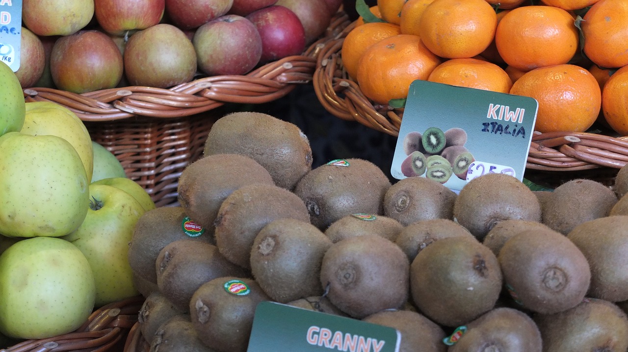 kiwi fruit fresh free photo