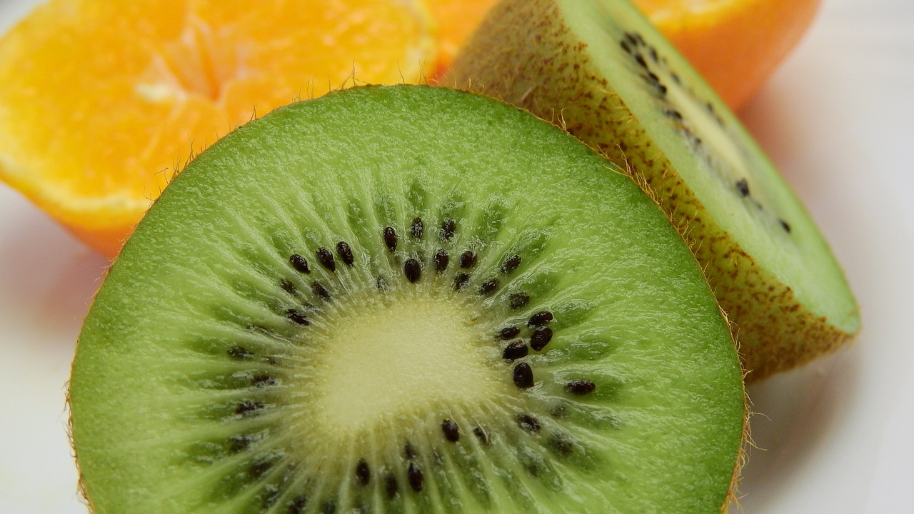 kiwi fruit detail free photo