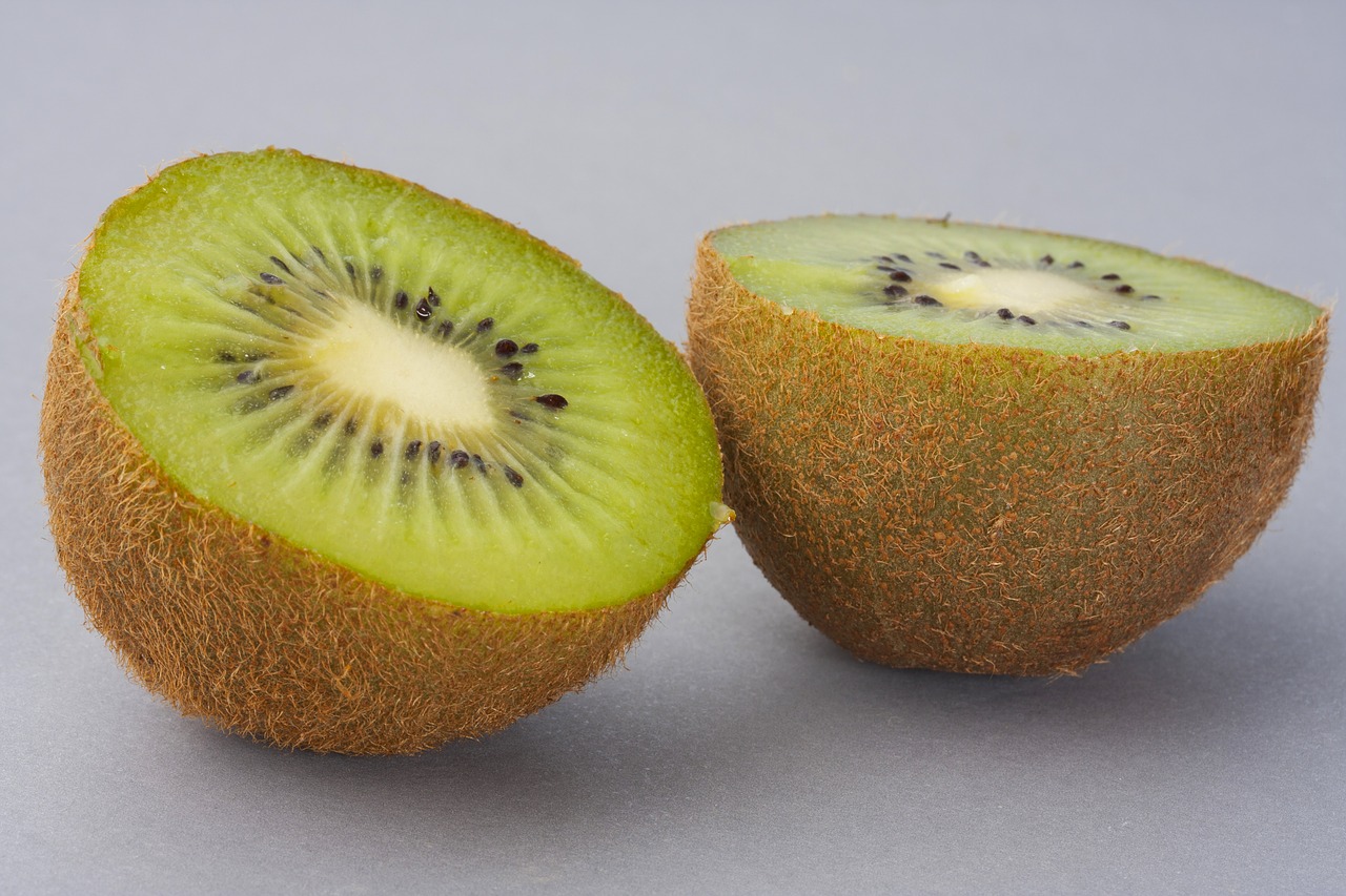 kiwi fruit studio free photo