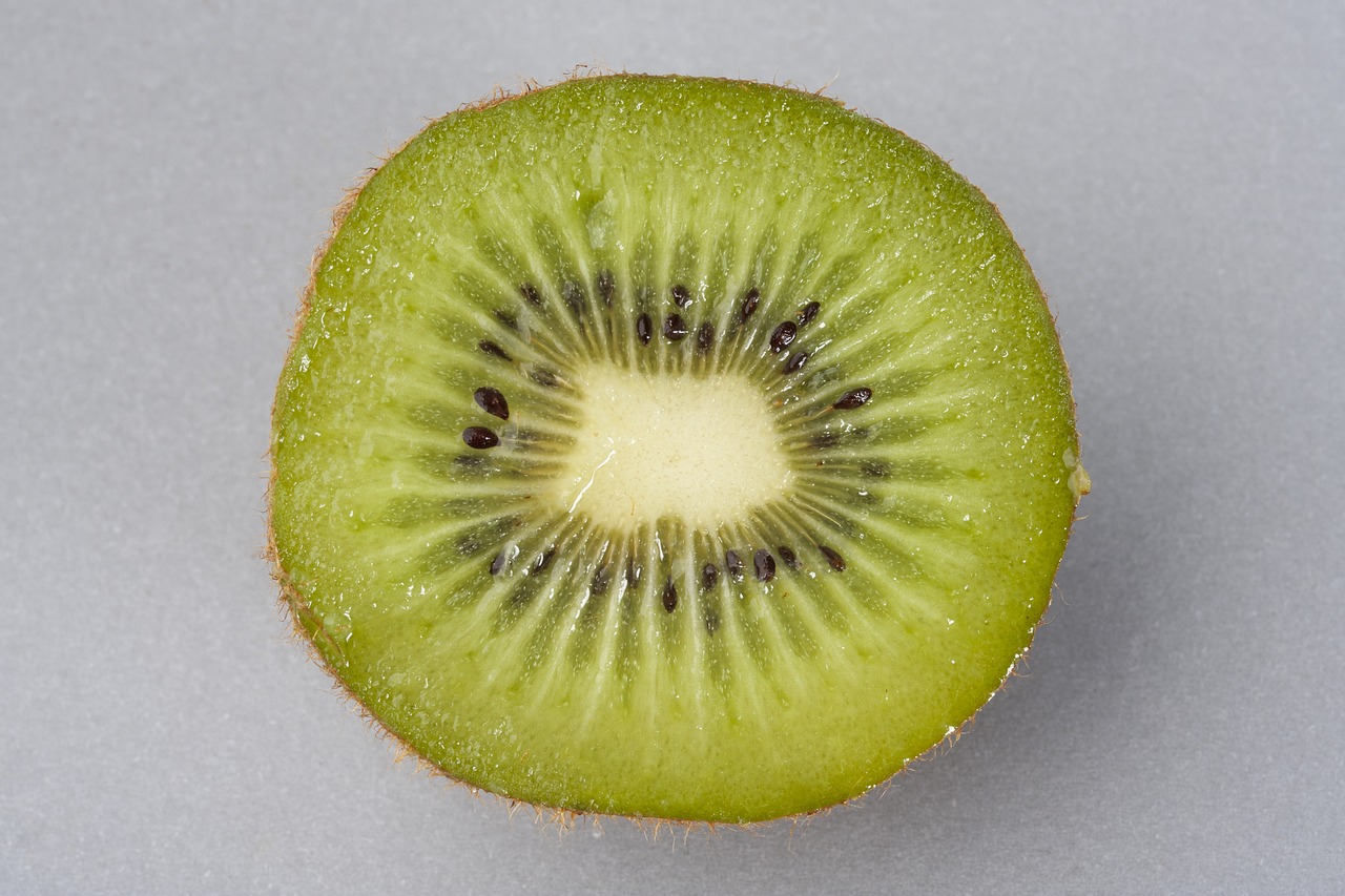 kiwi fruit studio free photo