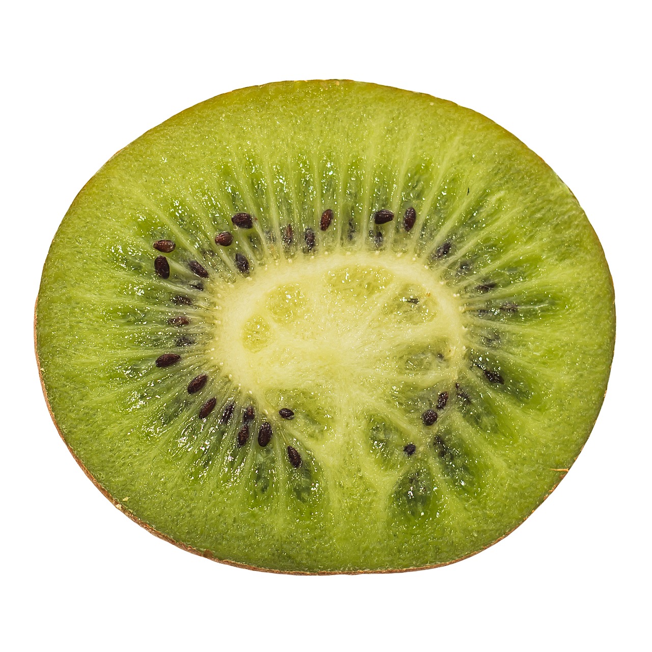 kiwi fruit half free photo