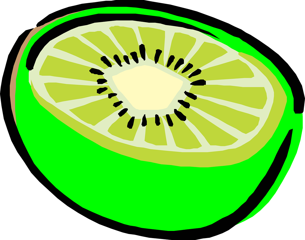 kiwi bright fruit free photo