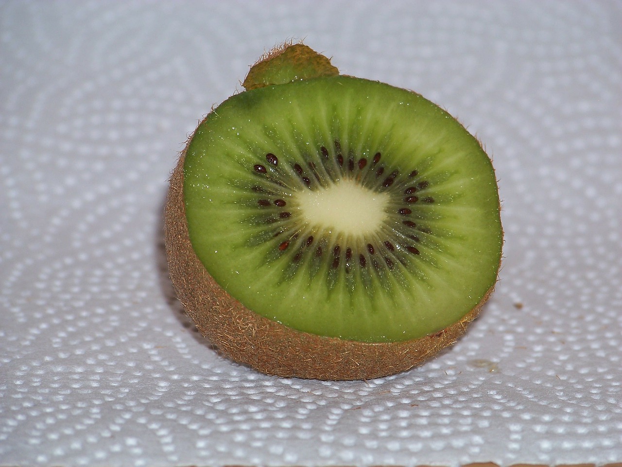 kiwi delicious fruity free photo