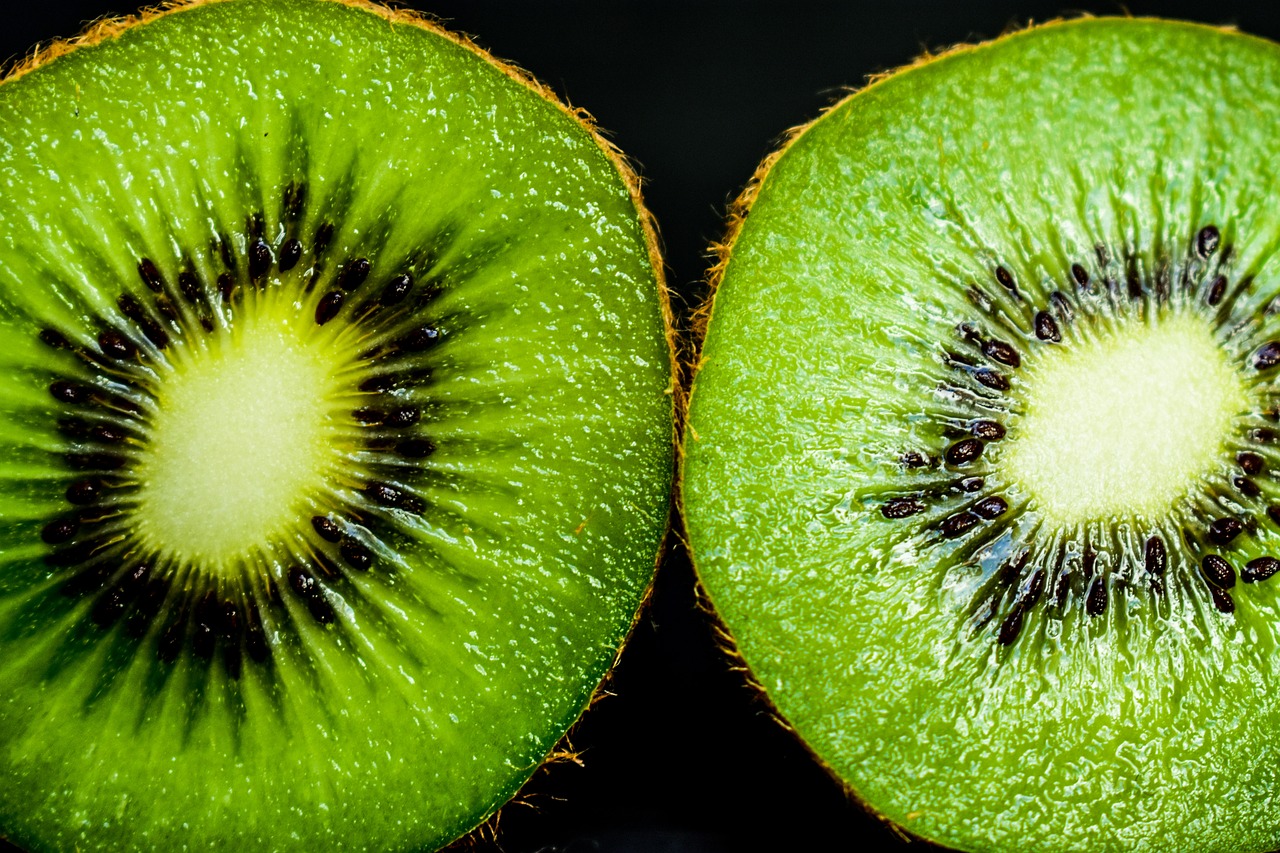 kiwi  approach  vivid free photo