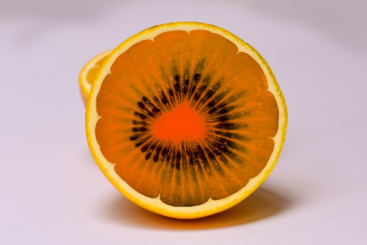 kiwi  orange  mounting fruit free photo