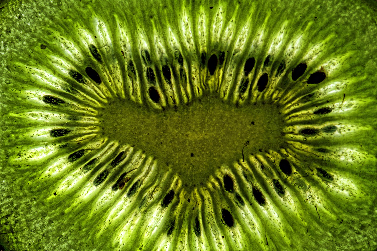 kiwi  fruit  abstract free photo