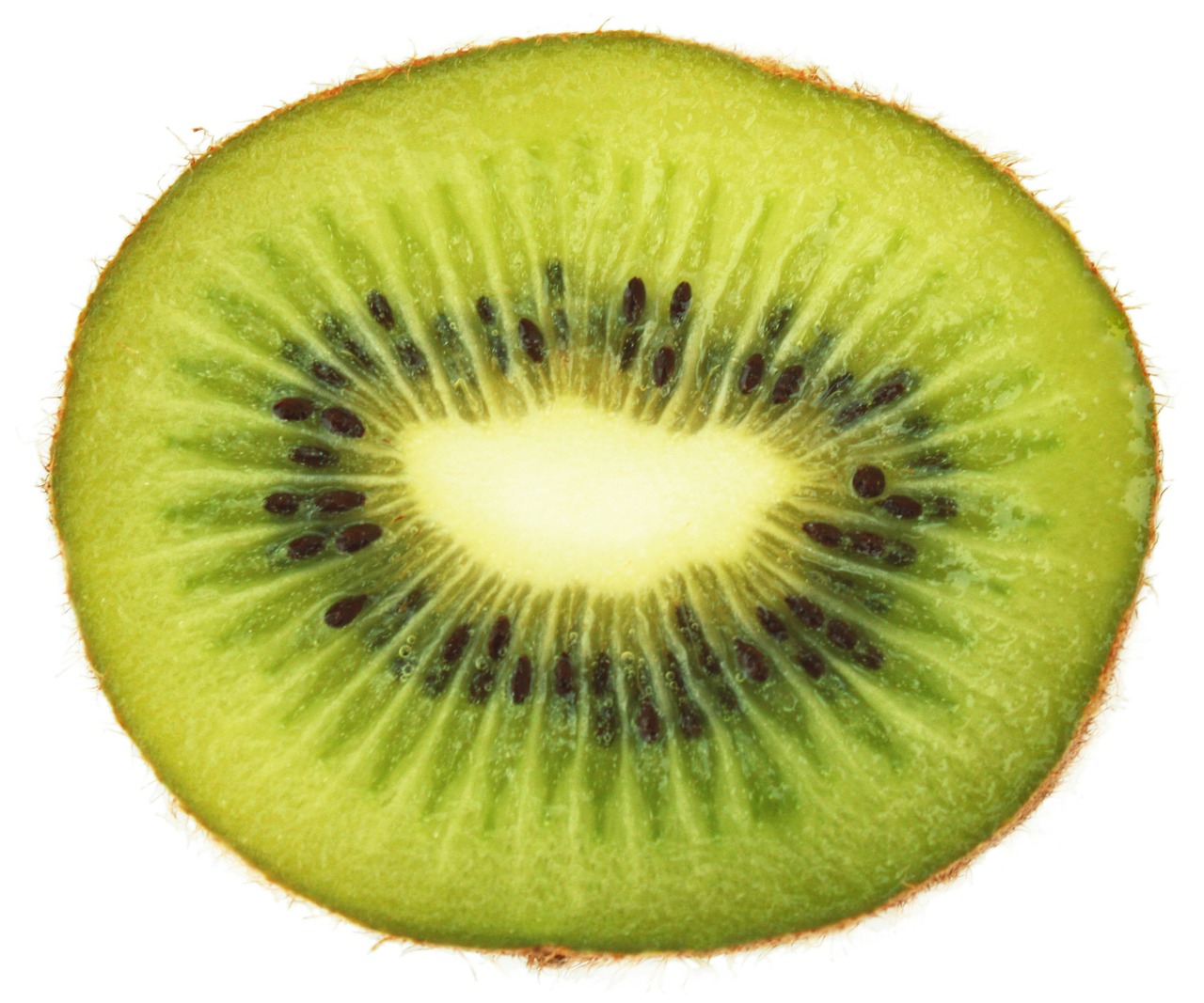 kiwi slice green free photo