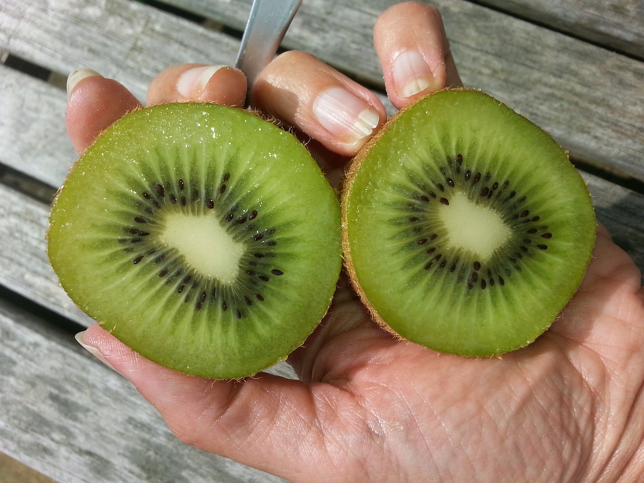 kiwi healthy green free photo