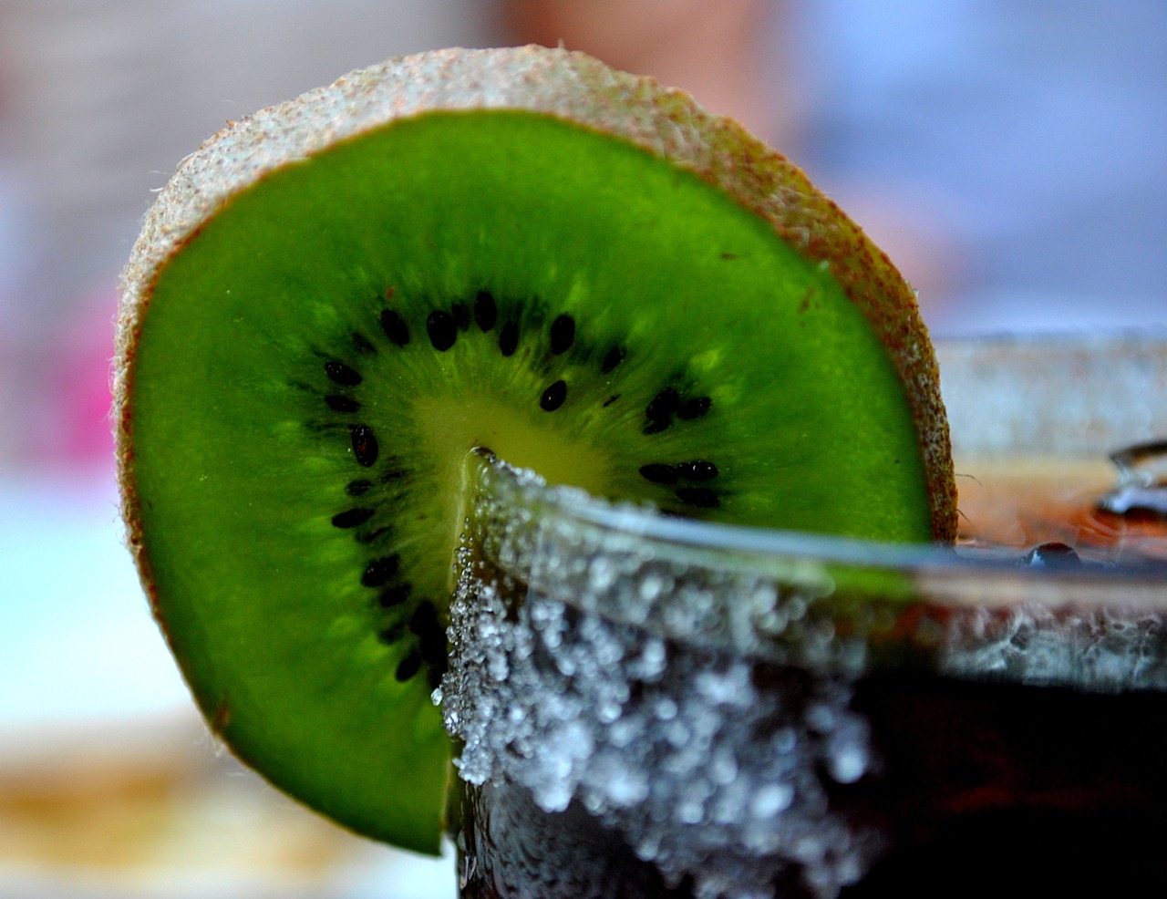 kiwi drink drinks free photo