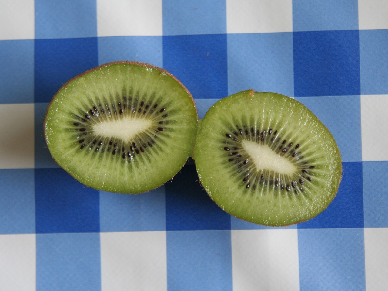 kiwi fruit exotic fruits free photo