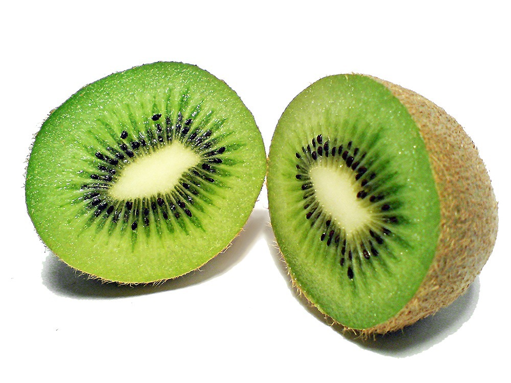 kiwi fruit kiwi fruit free photo