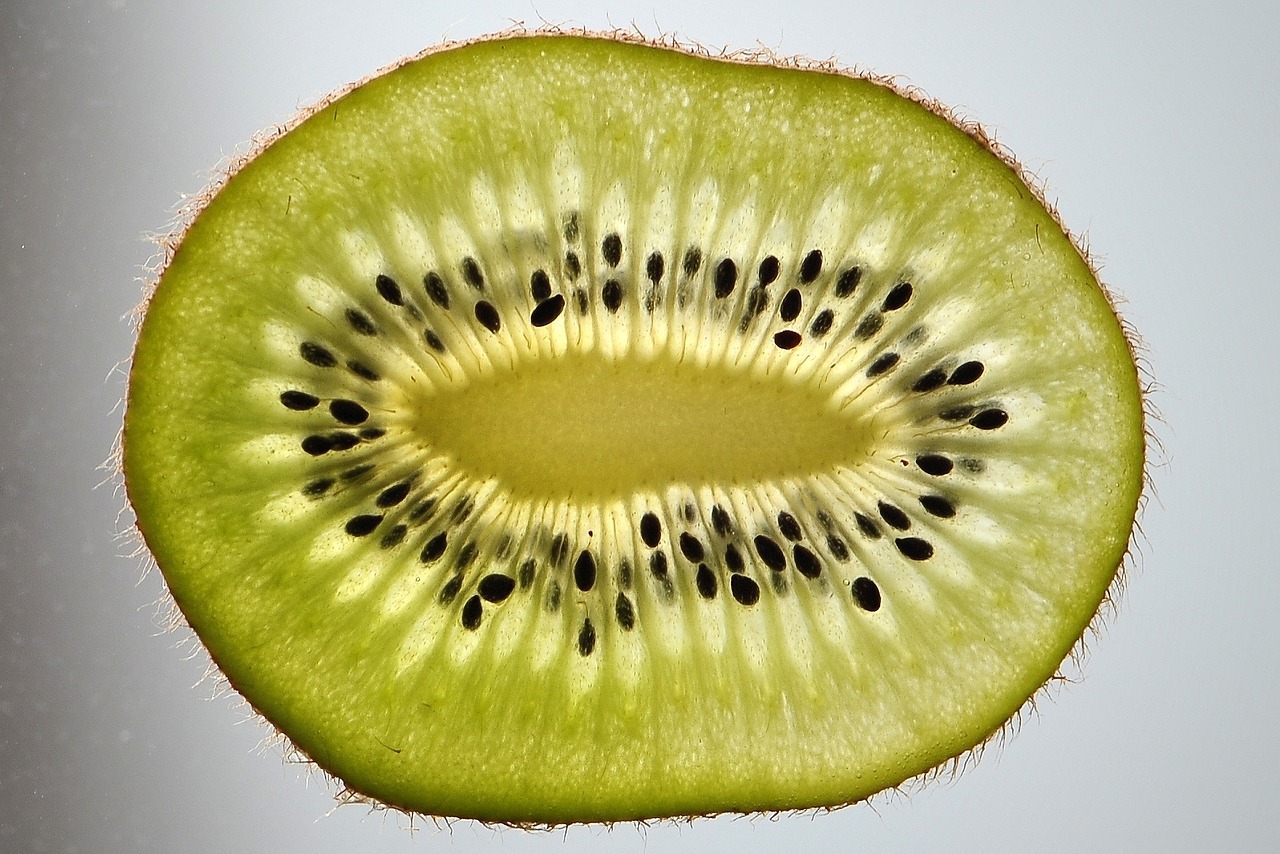 kiwi kiwi slice fruit free photo