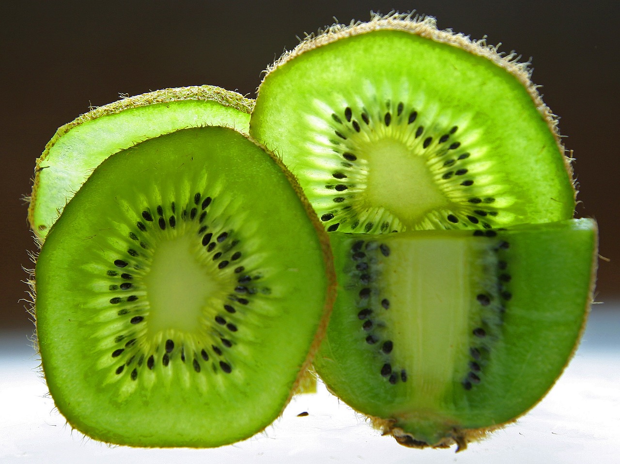 kiwi fruit disc free photo