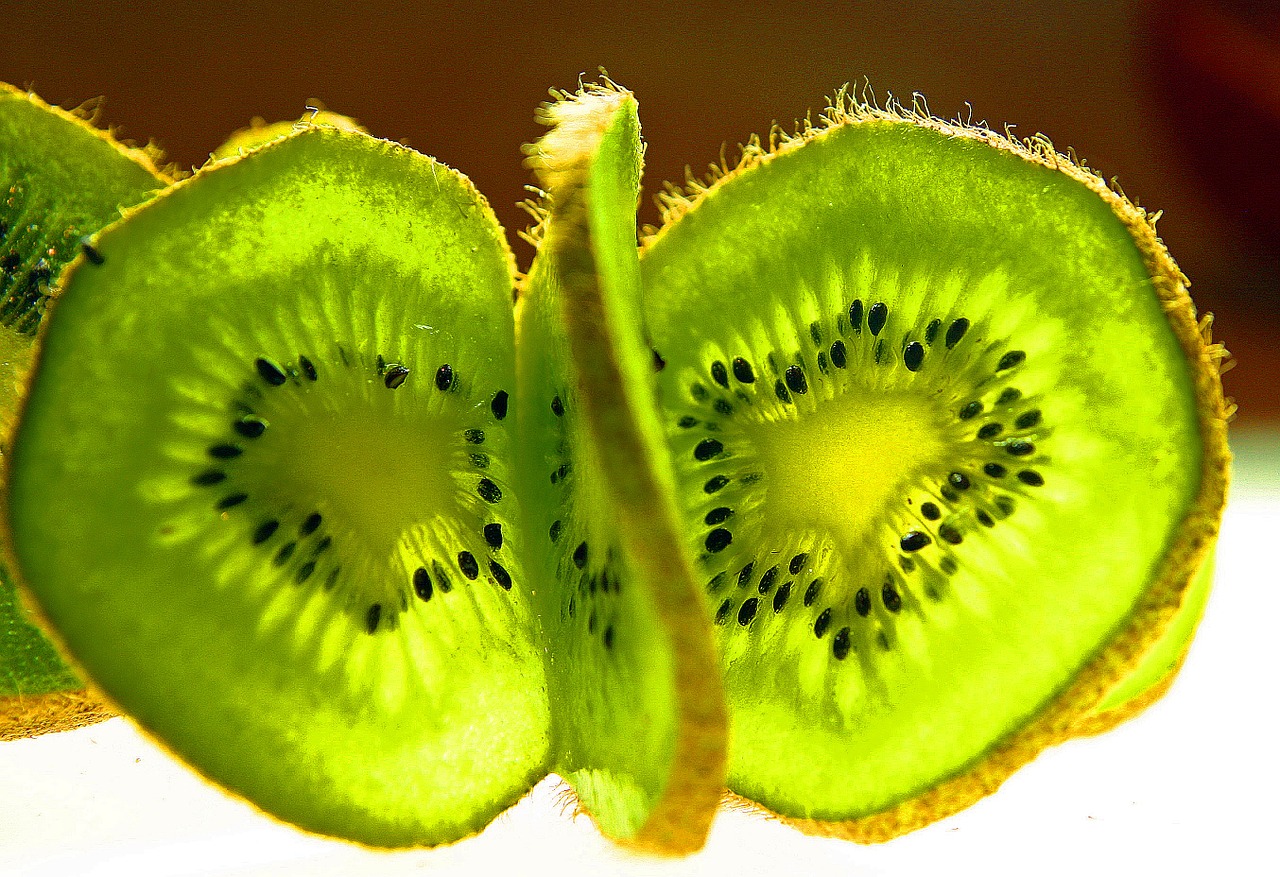 kiwi fruit disc free photo