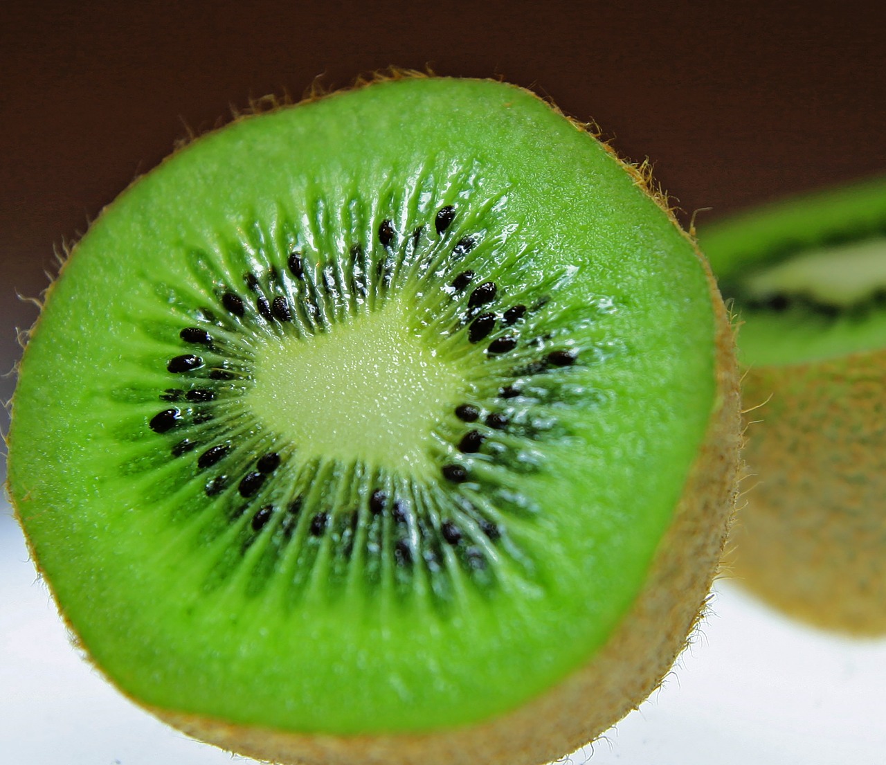 kiwi fruit frisch free photo