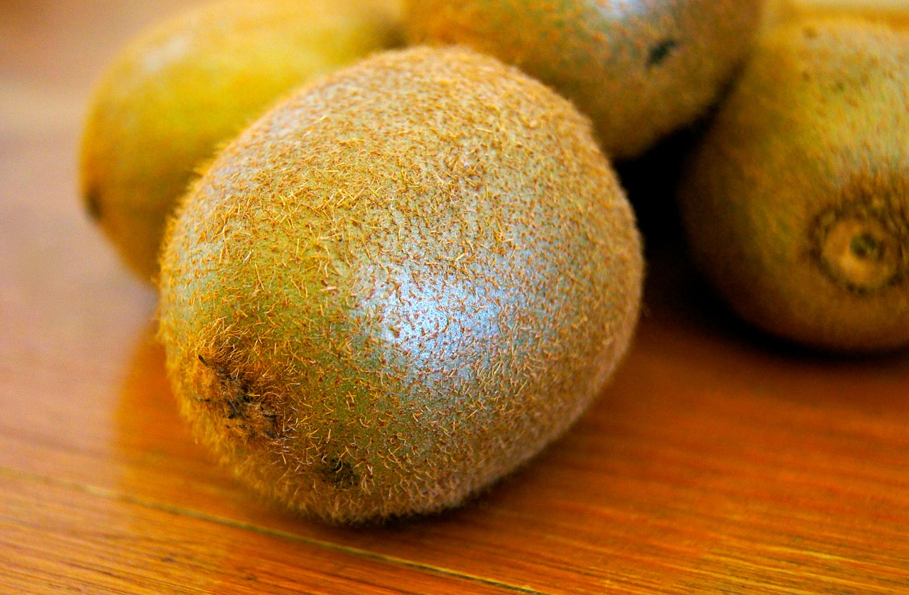 kiwi fruit frisch free photo