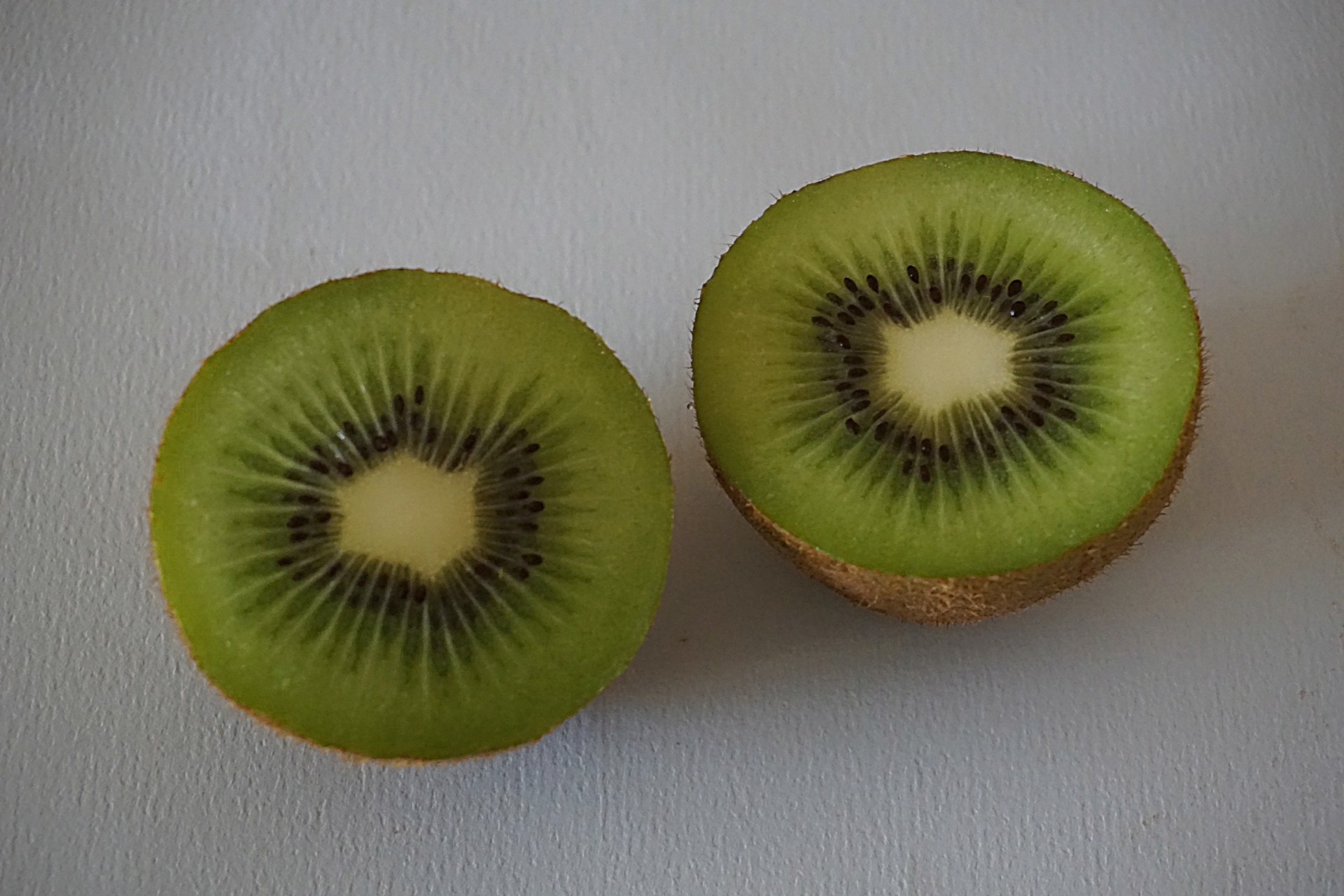 kiwi fruit dessert free photo