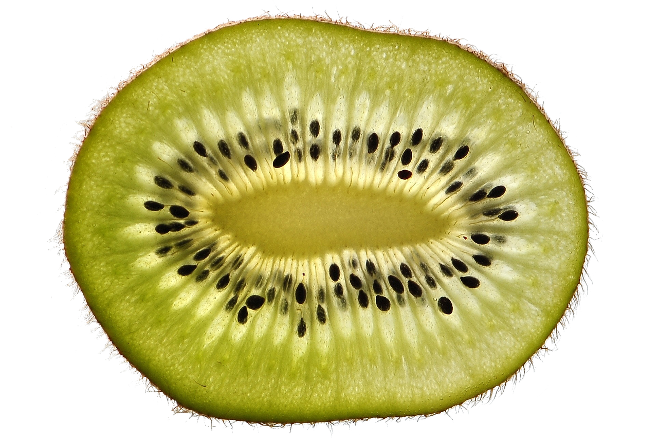 kiwi free fruit food free photo