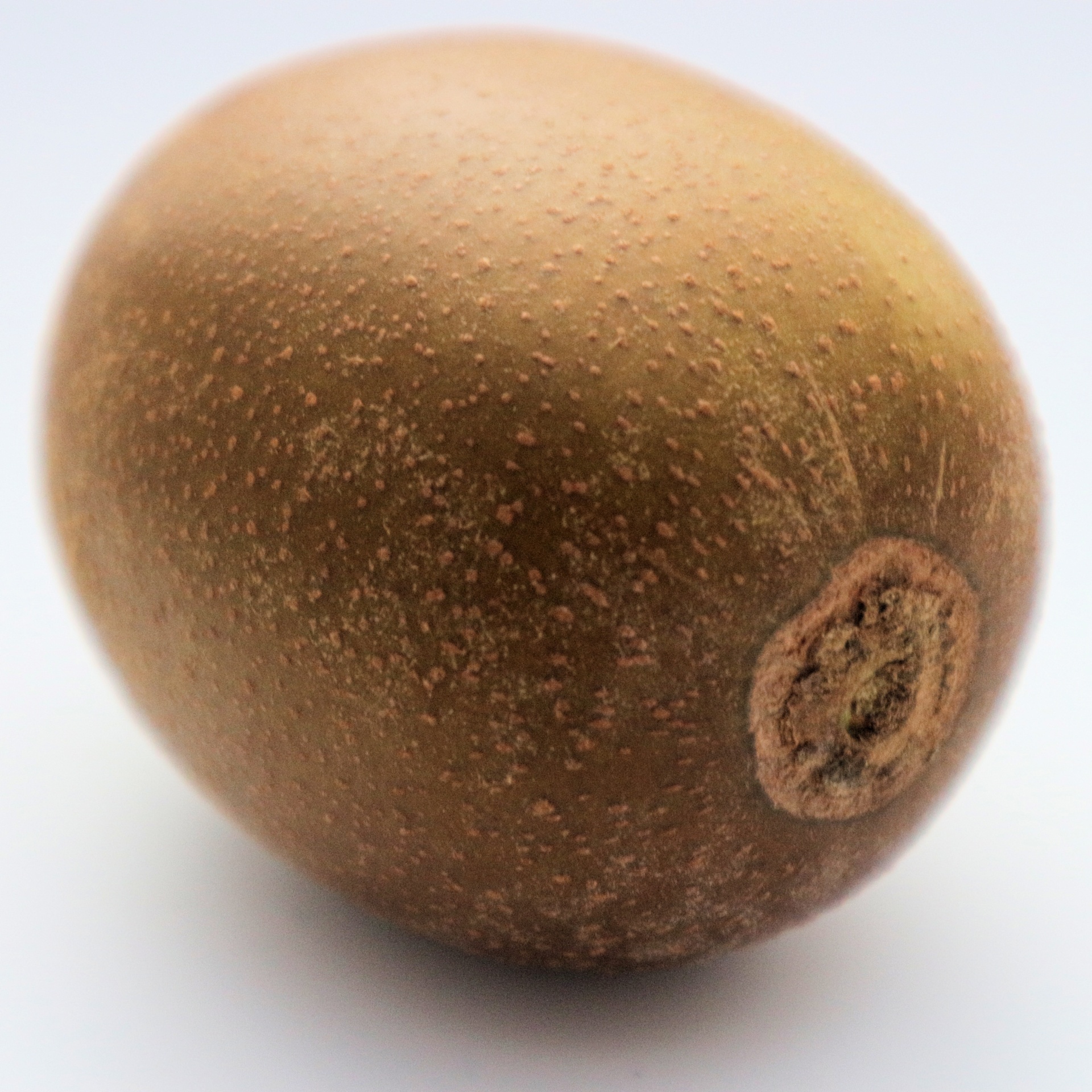 golden kiwi fruit free photo