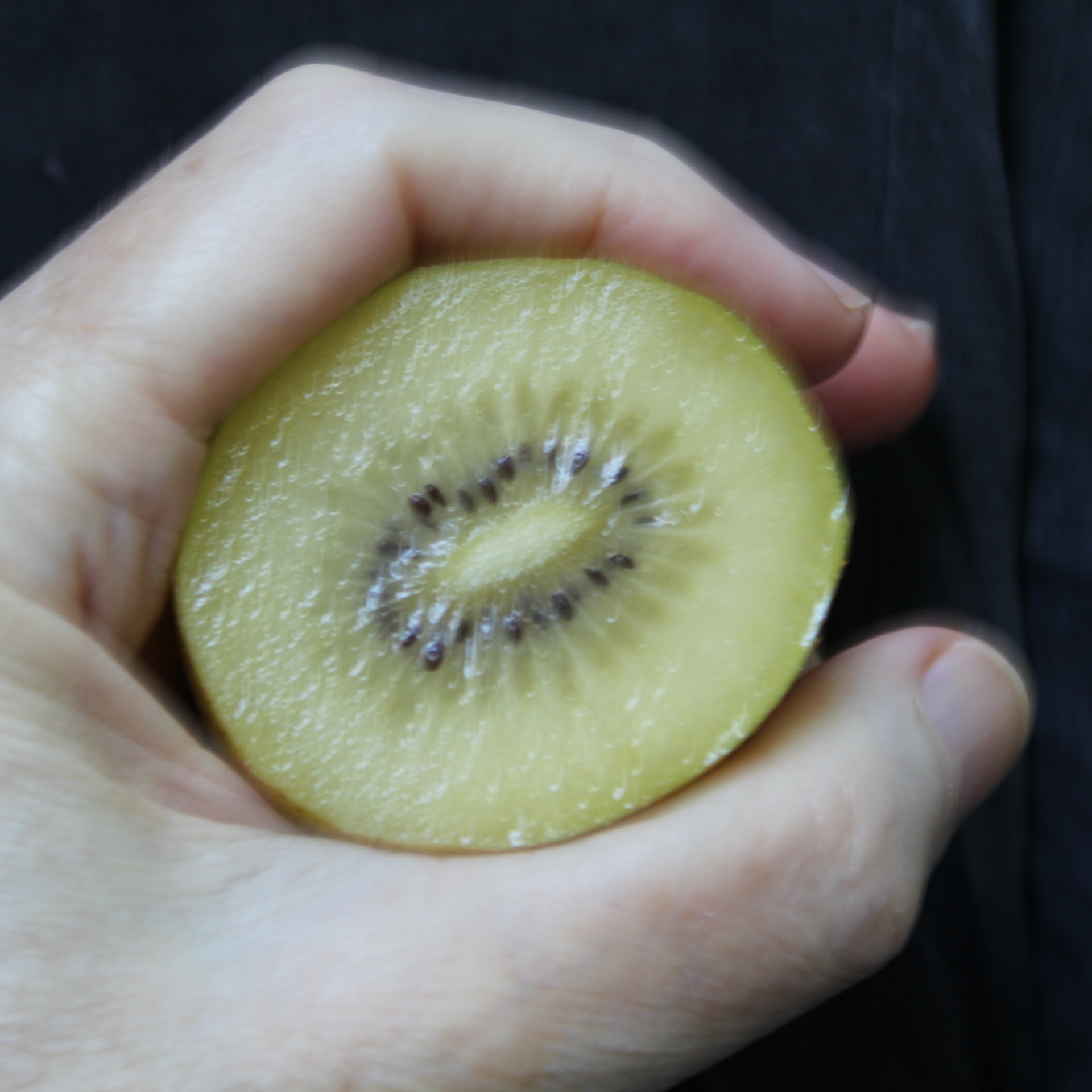 kiwi fruit hold free photo