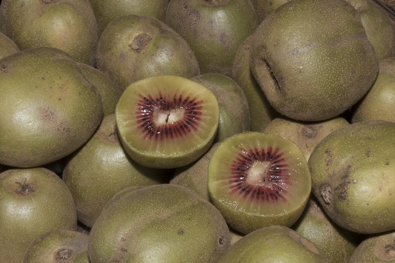 kiwi fruit fruit rare free photo