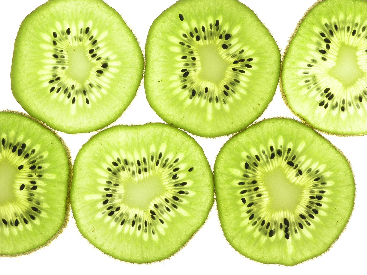 kiwi fruit slices thin free photo