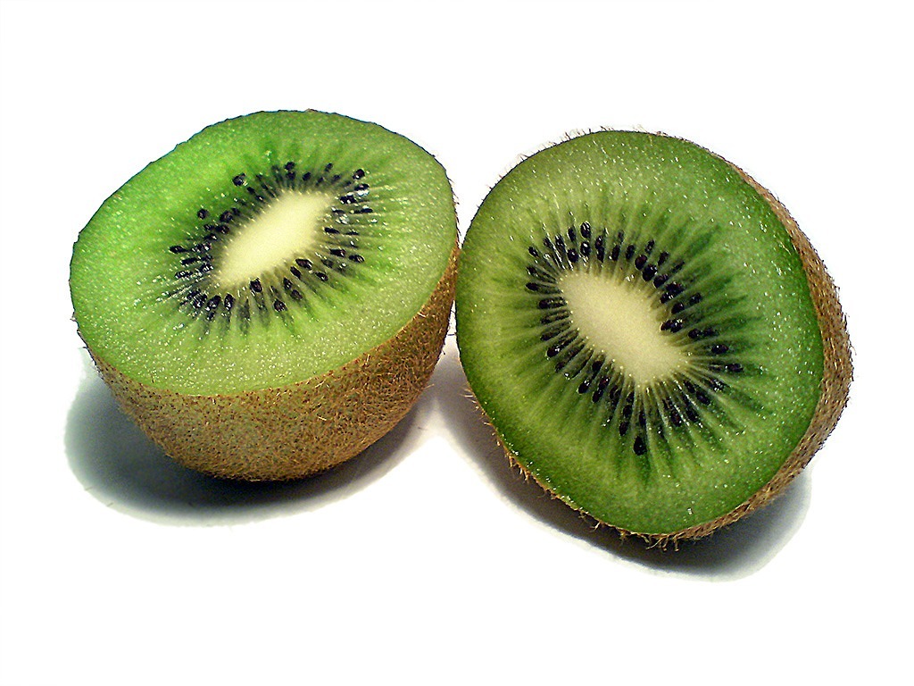 kiwi fruit kiwi fruit free photo