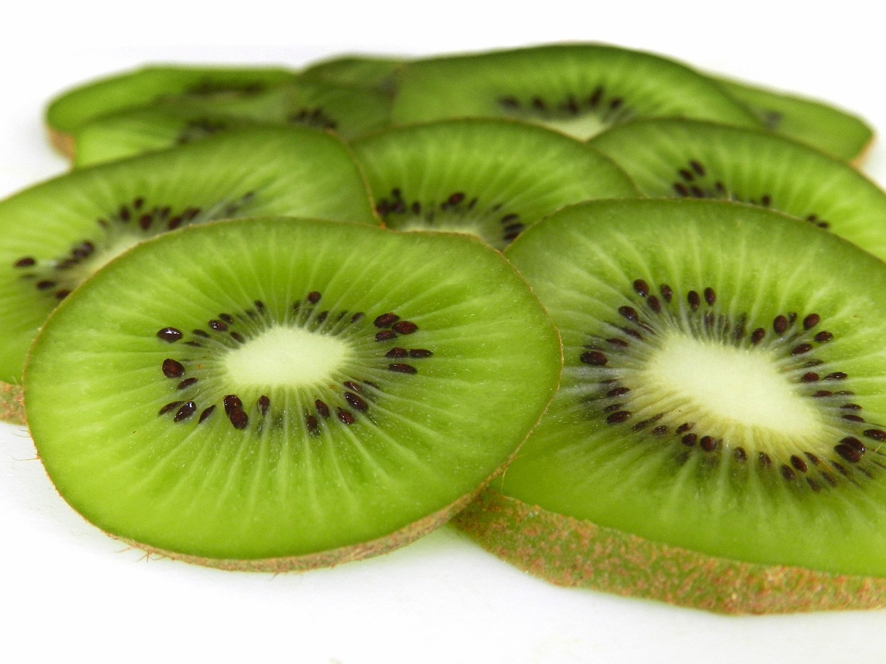 kiwi fruit slices fresh free photo