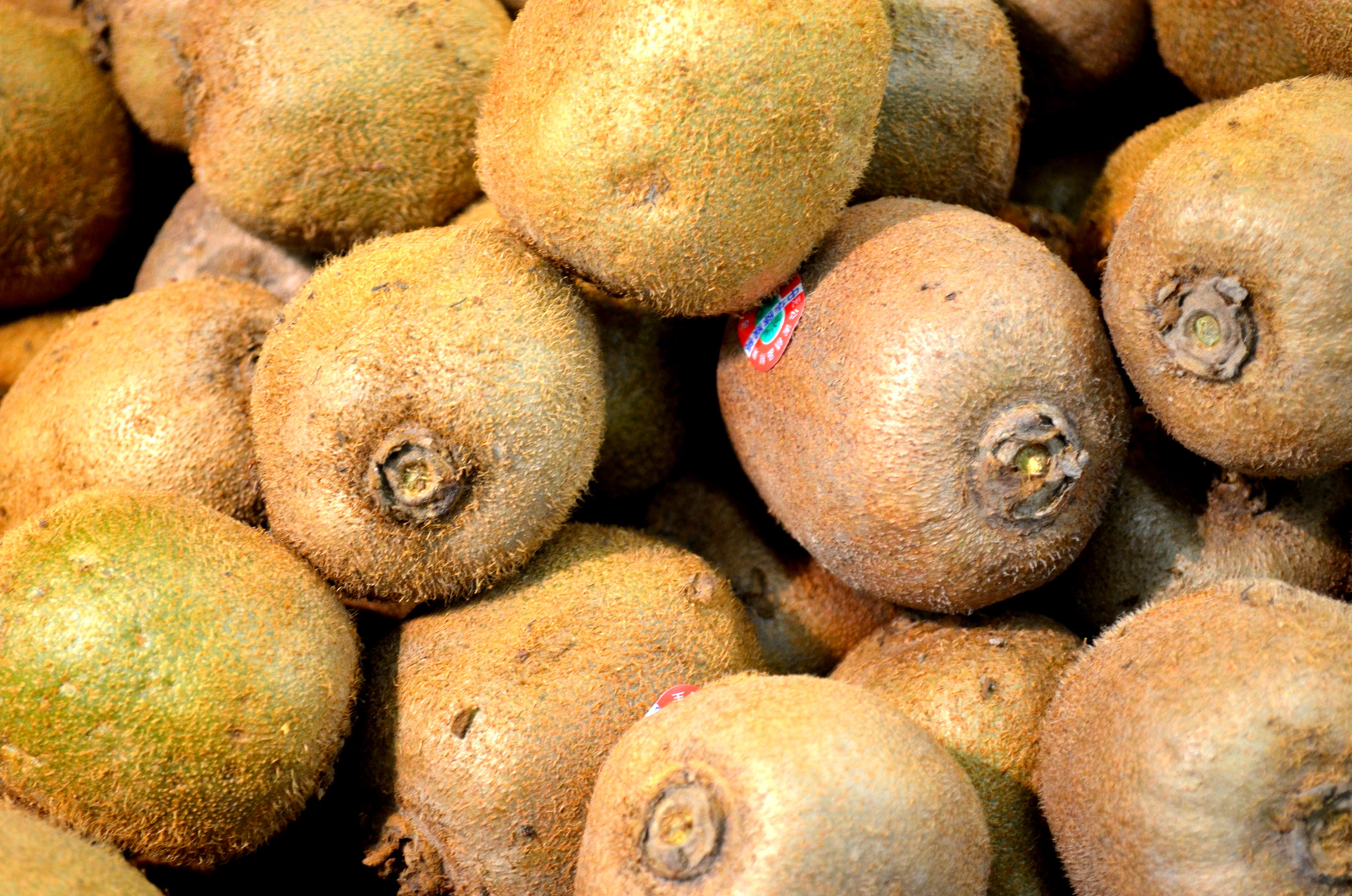 kiwi fruit display free photo