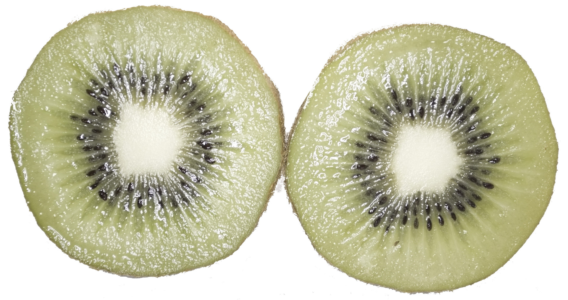 kiwi fruit kiwi free photo