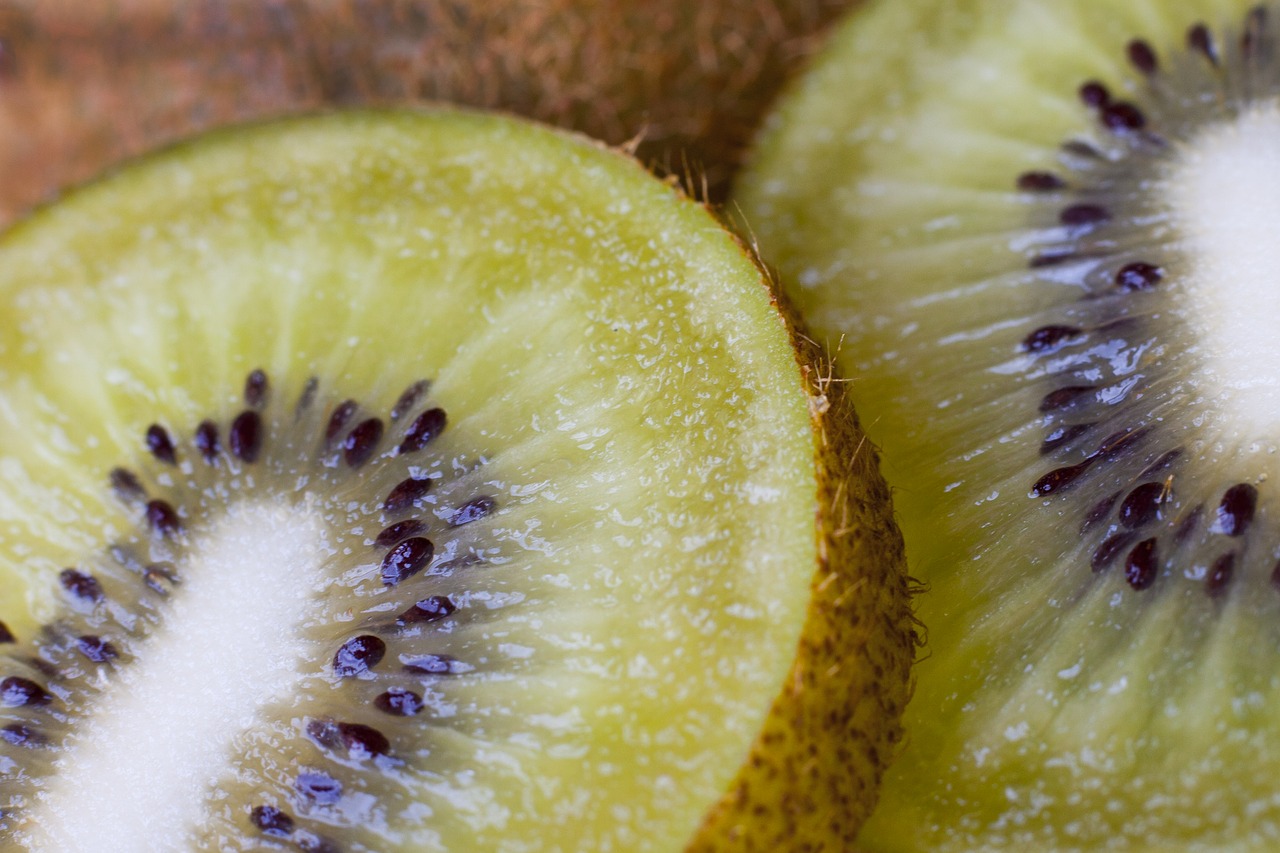 kiwifruit kiwi fruit free photo
