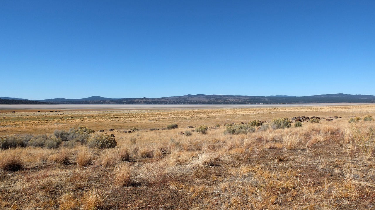 klamath falls usa prairie free photo