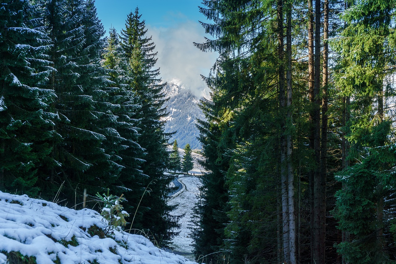 kleinwalsertal hirschegg hike free photo