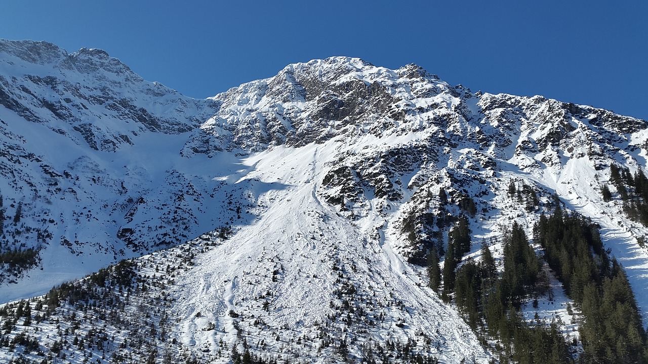 kleinwalsertal alpine wildental free photo