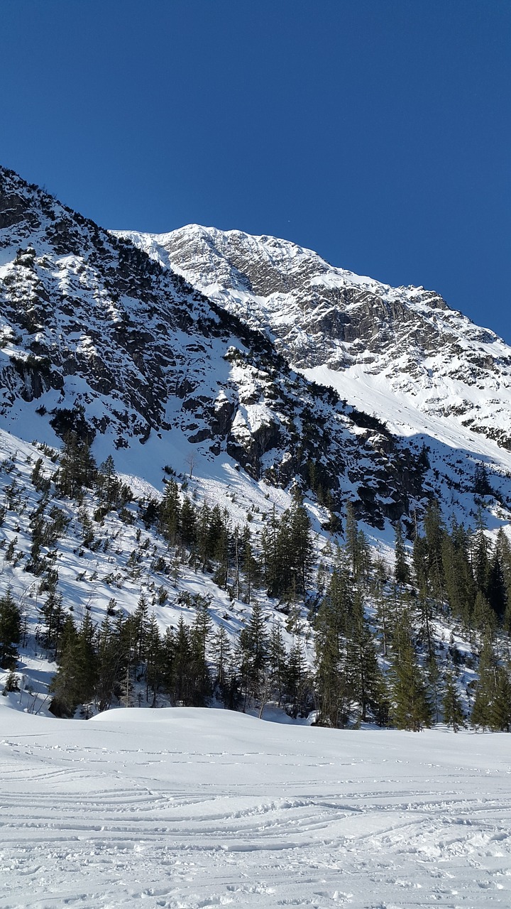 kleinwalsertal alpine wildental free photo