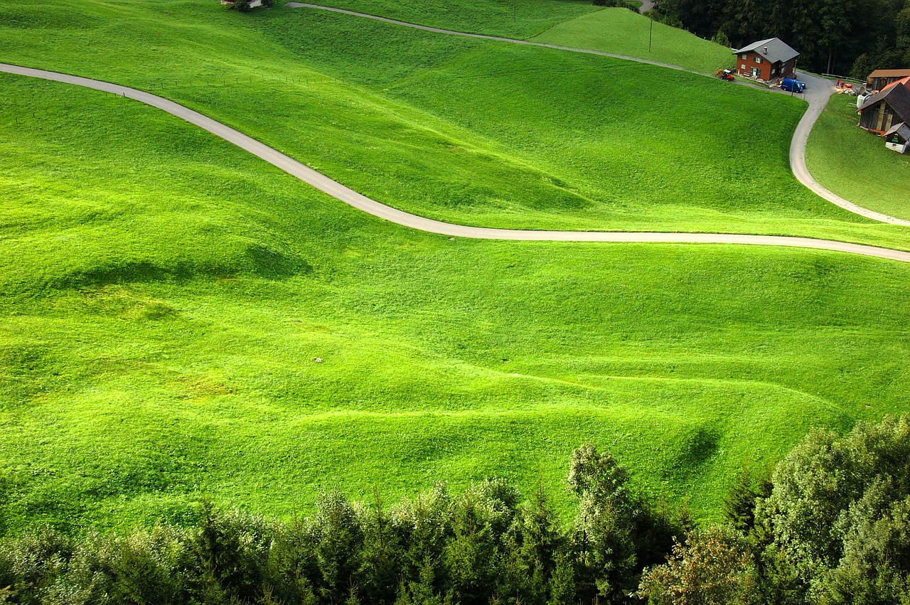 klewenalp meadow mountain farm free photo