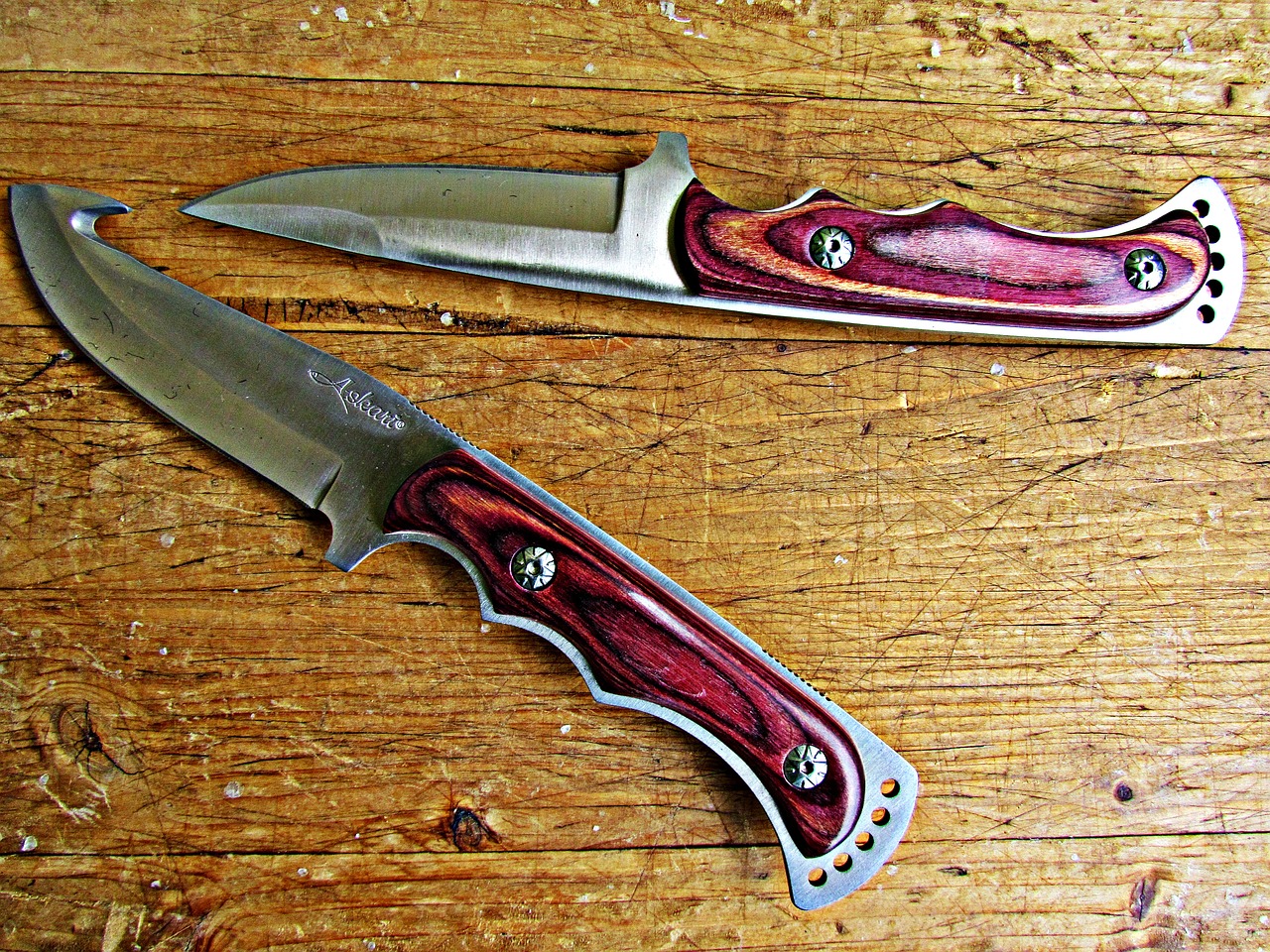 knife finca a pocket knife free photo