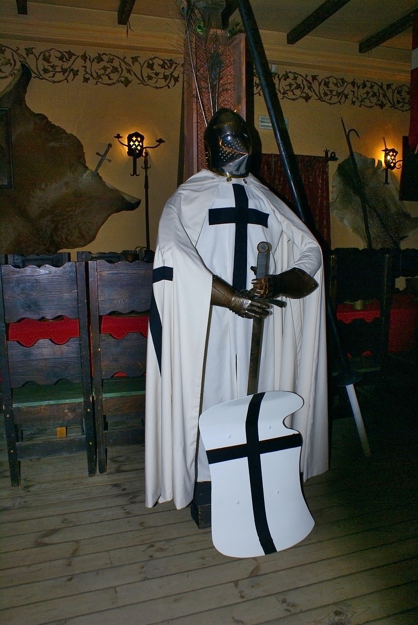 knight araneus armor free photo