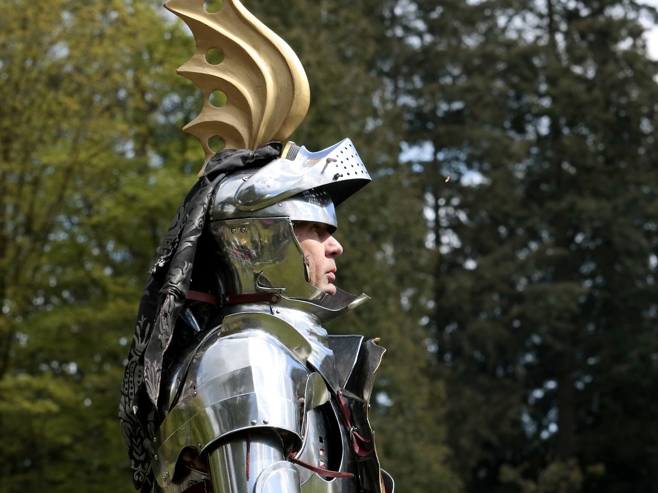 knight  medieval  duel free photo